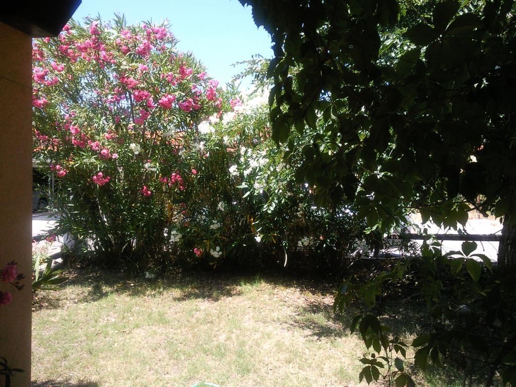 Apartamento Monolocale San Teodoro San Teodoro  Habitación foto